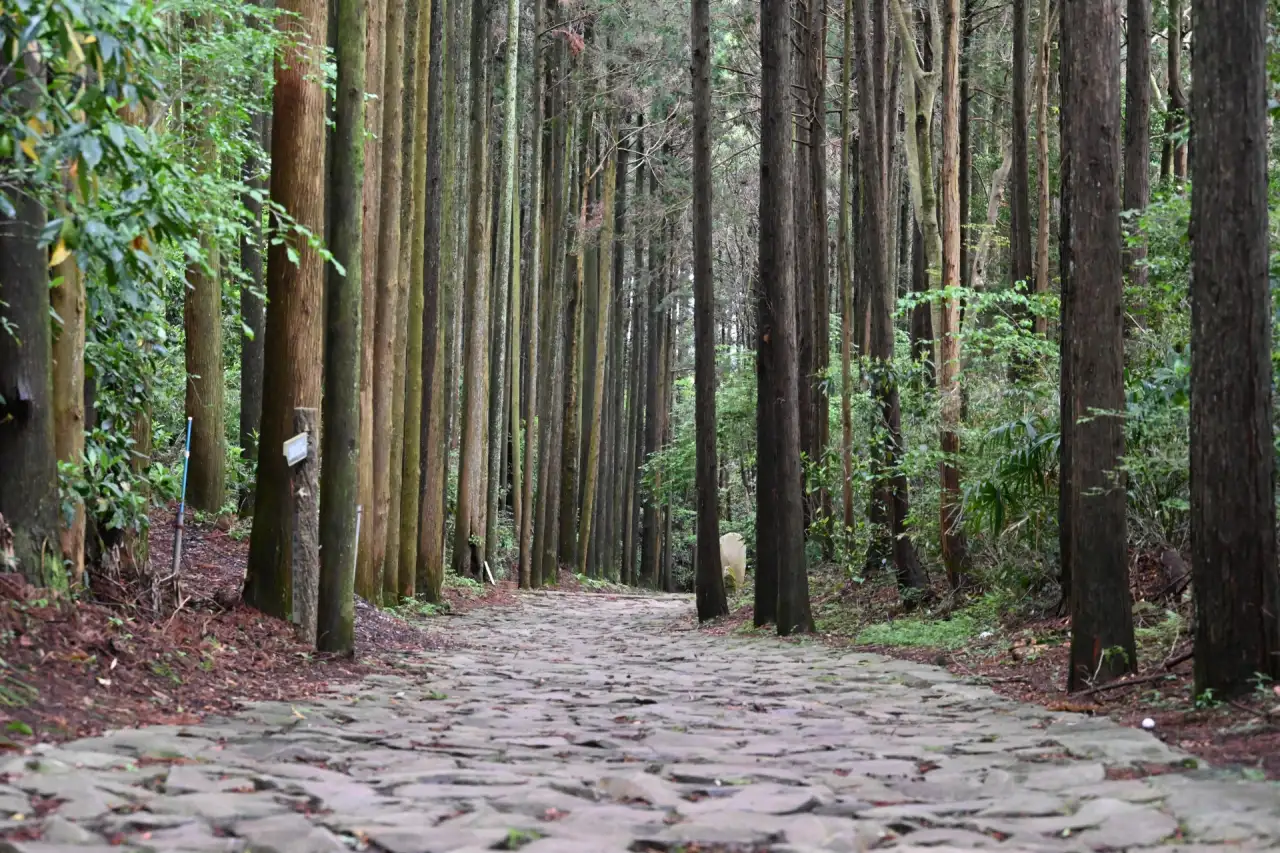 箱根旧街道の石畳三島宿