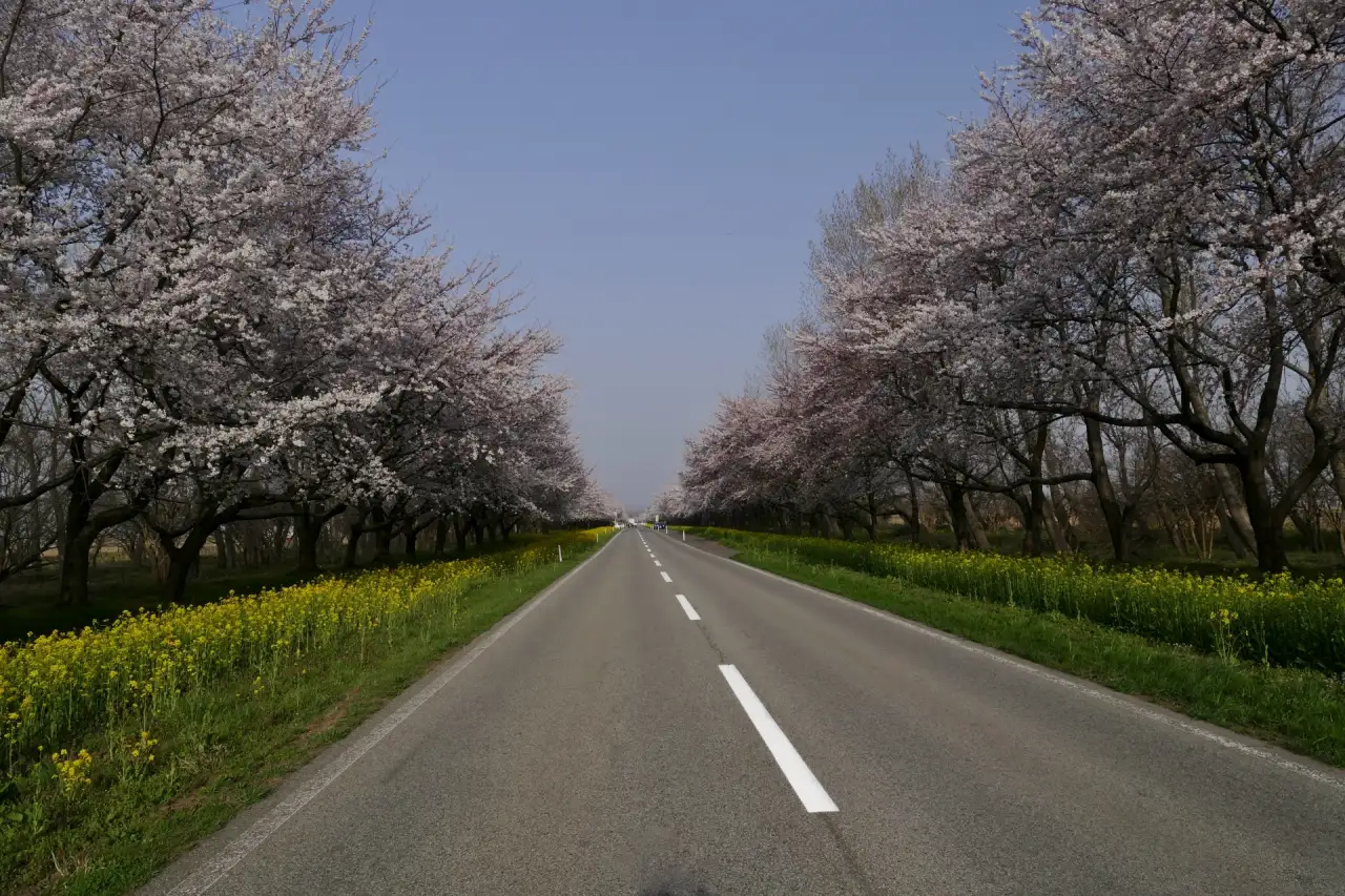 秋田県大潟村　未来と展望