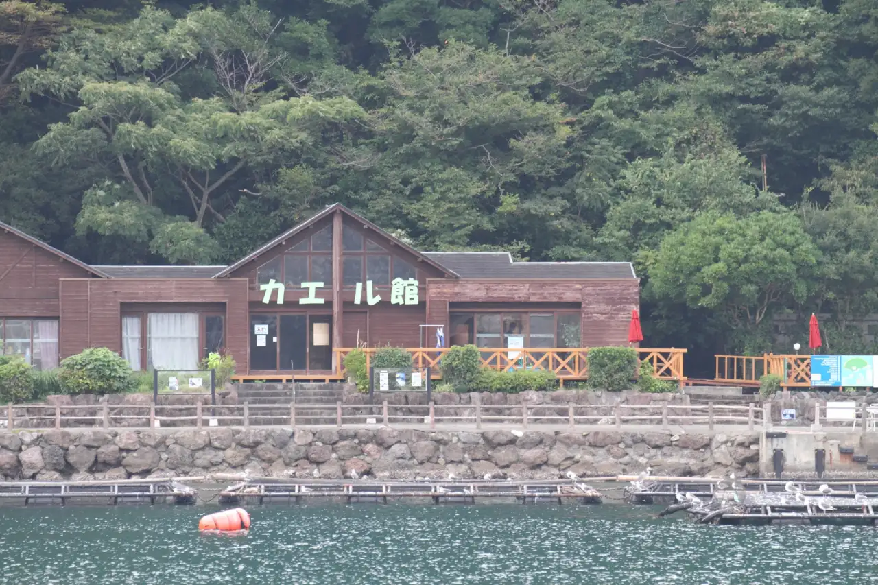 淡島カエル館