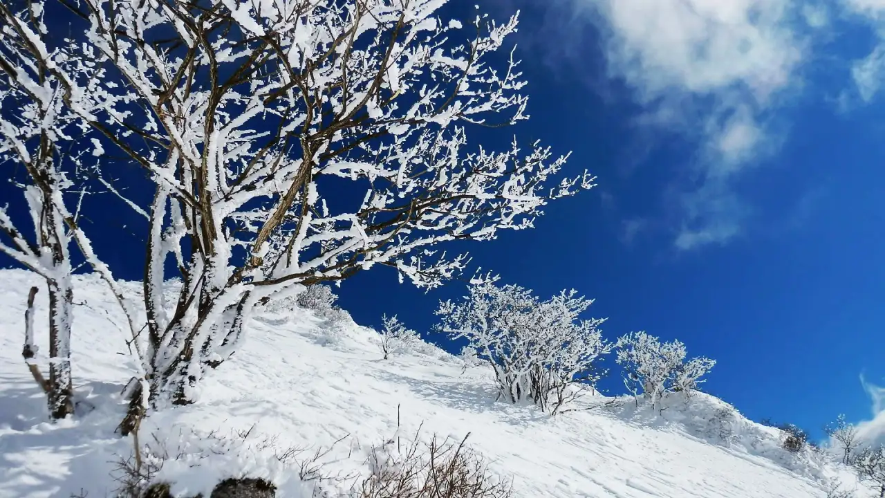 伊吹山