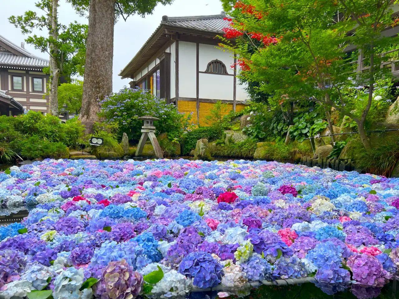 雨引観音