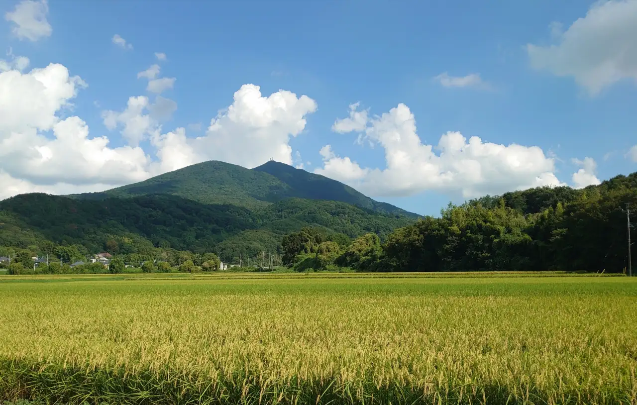 筑波山